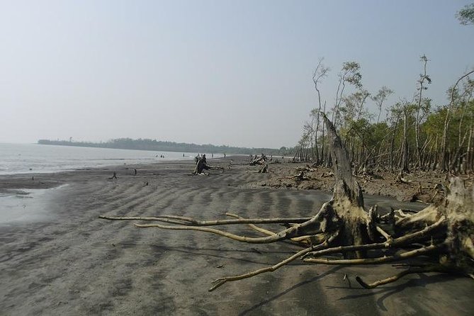 The Jungle Book Trip (The Sundorbon Forest of Bangladesh) - Boat Accommodation