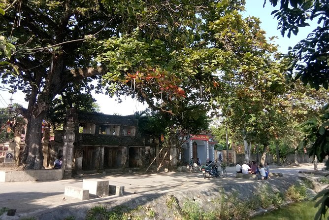 Tour Hoa Lu and Tam Coc With Cycling - Hoa Lu Ancient Capital