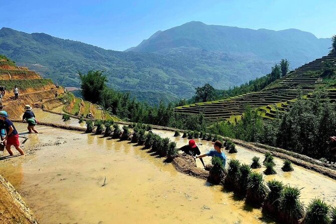 Transfer to or From Sapa in a Sleeper Bus From Hanoi - Additional Important Information