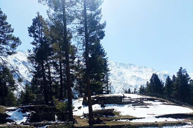Trek To Fairy Meadows Nanga Parbat Base Camp & Hunza Gojal - Frequently Asked Questions