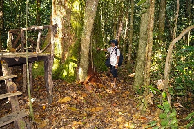 Trekking and Bird Watching in Kanneliya Rain Forest - Fauna and Flora Encounters