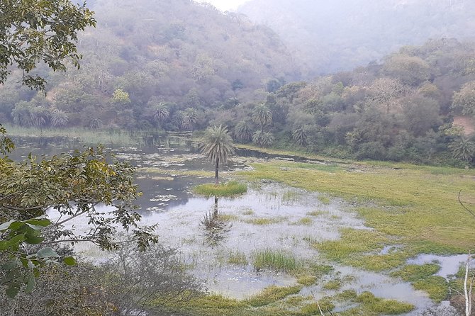 Trekking in Kumbhalgarh - Frequently Asked Questions