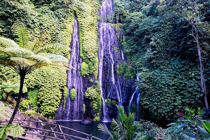 Trip to Paradise in Bali Banyumala Waterfall And Twin Lake - Booking and Pricing Information