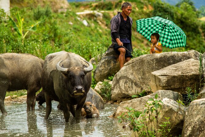 Two-Day Spectacular Mountain Peak From Ha Noi - Meeting and Pickup Details