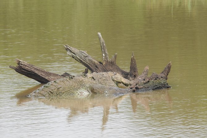 Two Day Yala National Park Tour - Start Time