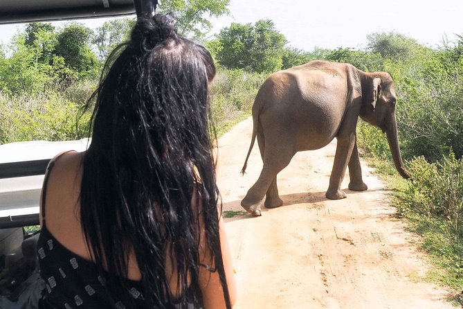 Udawalawe National Park Safari From Beruwala Hotels - What to Bring