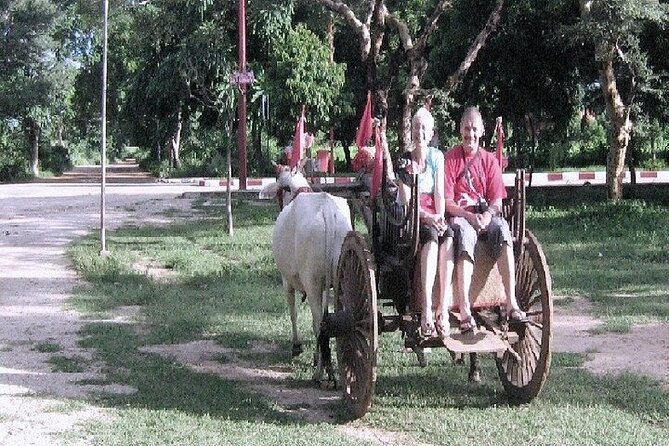 Visit to an Organic Farm in Cumbum Valley - Tamil Nadu - Pricing Details and Guarantee