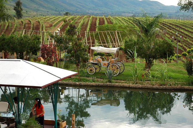 Wine Testing Tour in Taunggyi, Myanmar - The Sum Up