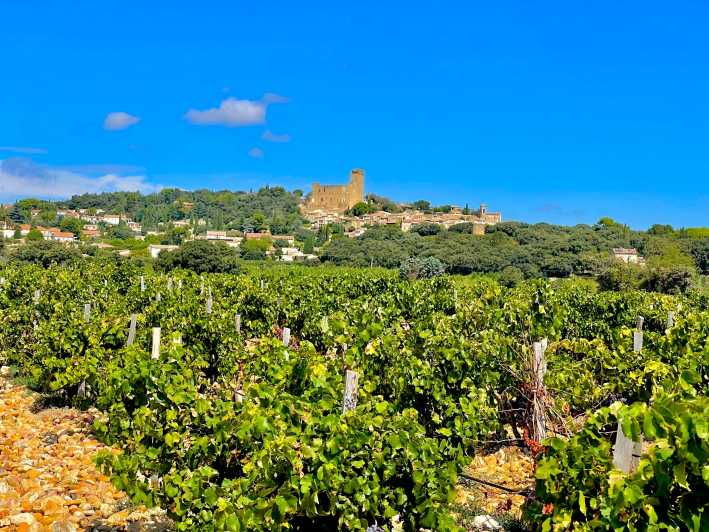 Wine Tour: on the Way to Chateauneuf Du Pape - Tour Overview