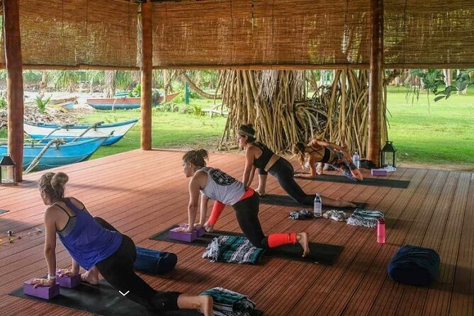 Yoga Class - Vinyasa Flow (Wellness Treatments Sri Lanka) - Meeting Point Information