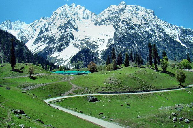 4 Star Luxury Kashmir Package Including Dinner - Good To Know