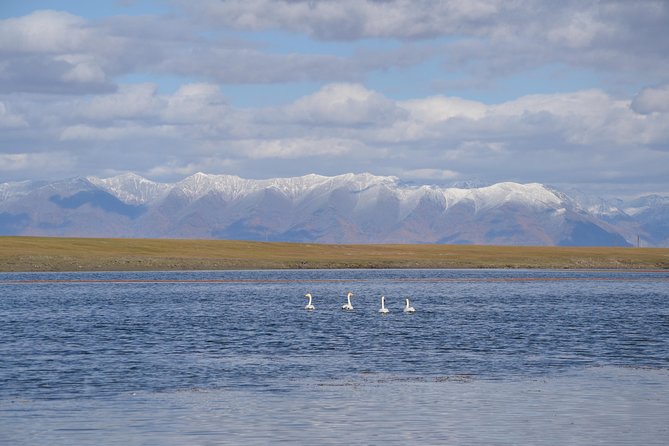 19 Days Horse Trekking Among the Reindeer Herders - The Sum Up