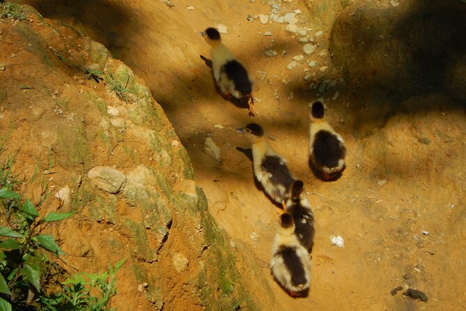 2-Day Muong Hoa Valley Private Hiking Tour - Booking and Pricing Information