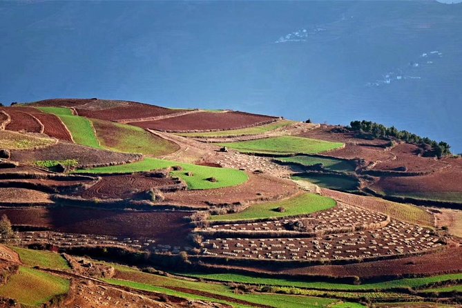 3-Days Dongchuan Red Land and Stone Forest Private Tour From Kunming - Operating Hours