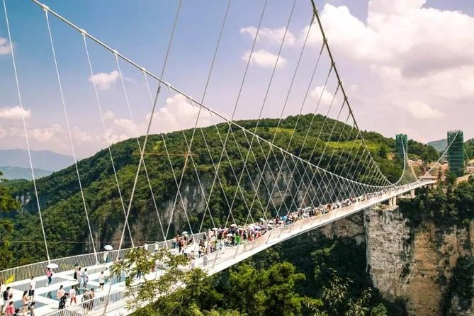 3 Days Private Zhangjiajie Avatar Adventure From Shanghai - The Sum Up