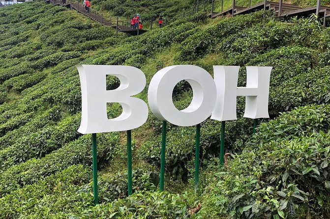 4-Day Cameron Highland and Penang Tour From Kuala Lumpur - Meal Inclusions