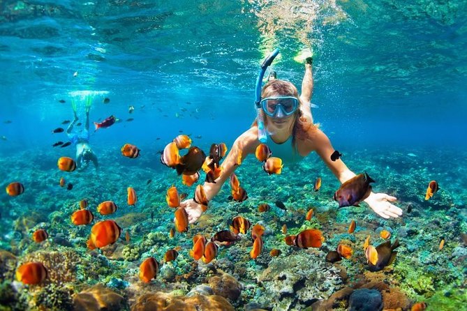 4 Point Snorkeling Nusa Penida From Bali - Additional Information and Directions