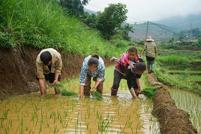 6 Days All-Inclusive Private Tour: Hanoi - Ha Long - Sapa - Transportation Logistics