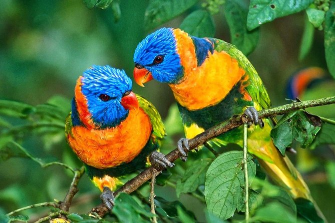 7 Day Golden Triangle With Wildlife(Taj Mahal at Sunrise/Sunrise) - Wildlife Experience