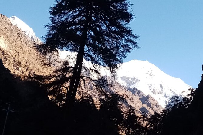 7 Day Guide Only for Private Langtang Trek From Kathmandu - Price and Guarantee