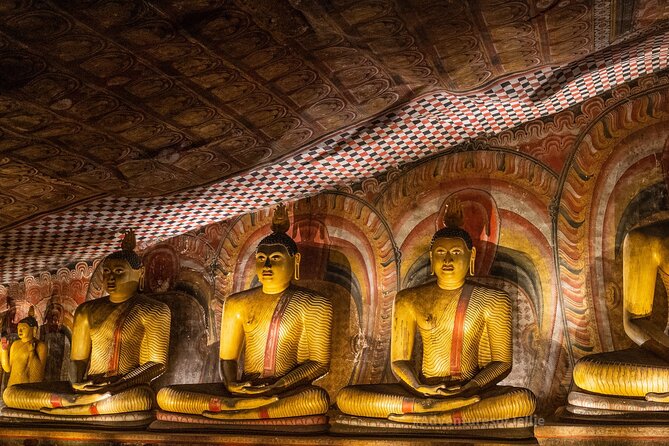 7 Days Tour in Srilanka - Adventure Activities and Excursions