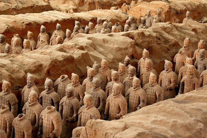 8 Days Beijing Xian Shanghai Join-in Grouo Tour by Train - Tour Guide Information