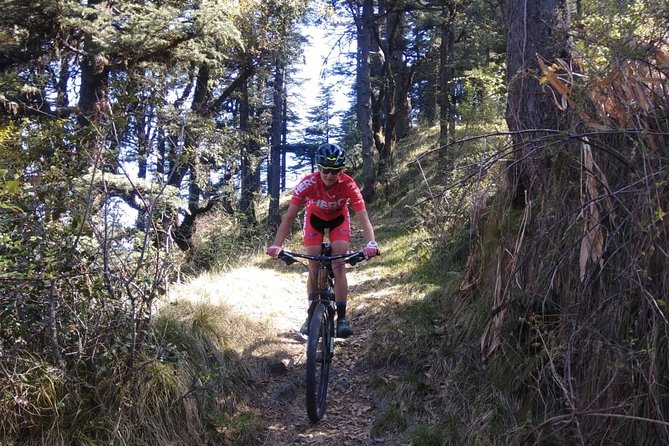 9-Day Himalaya Mountain Bike Tour From Shimla to Daramshala - Pricing and Booking Information