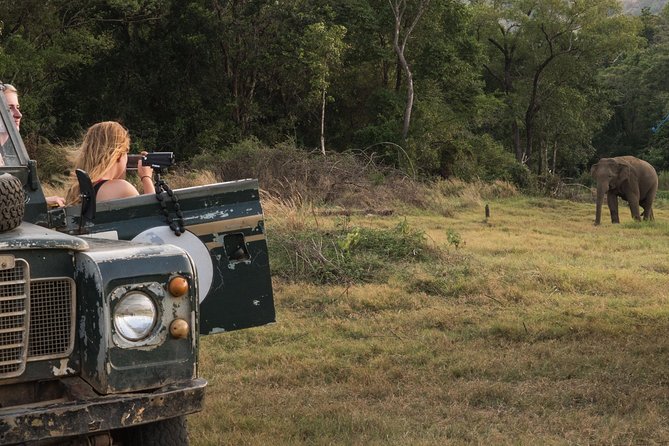 Afternoon Safari to Wasgamuwa National Park - Important Information for Participants