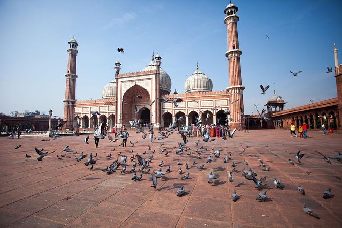 All Inclusive: Full Day Old and New Delhi Exclusive Tour - The Sum Up