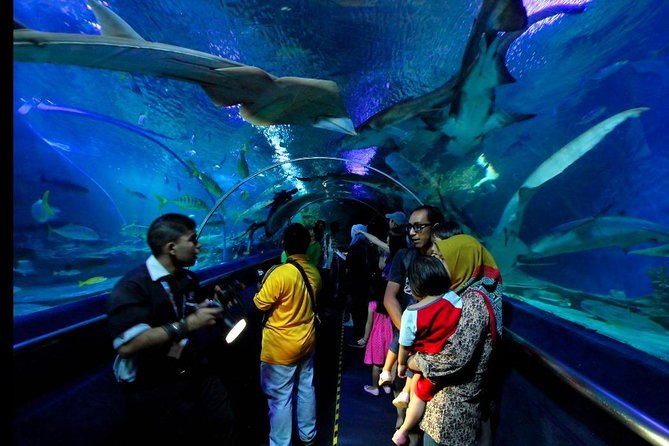 Aquaria KLCC Admission Ticket - The Sum Up