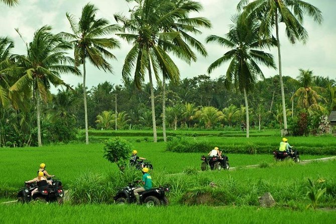 Bali ATV Ride Tour In Ubud Include Transport - Additional Information