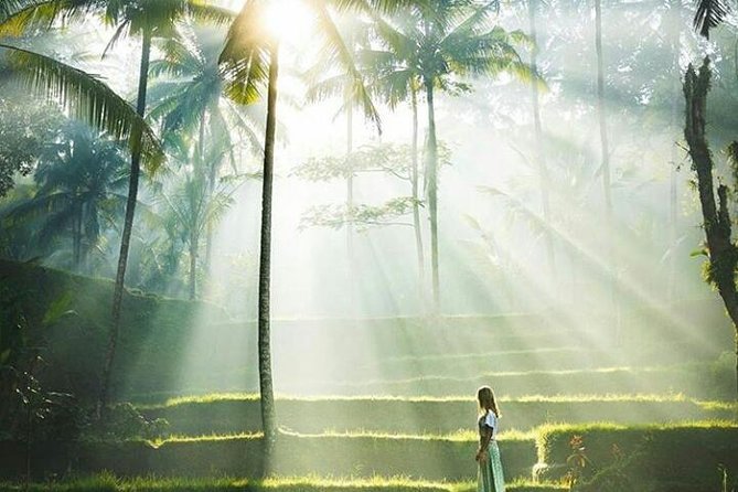 Bali Barong Dance and Privat Ubud Tour - Instan Spot - Free Wifi - Pickup Information