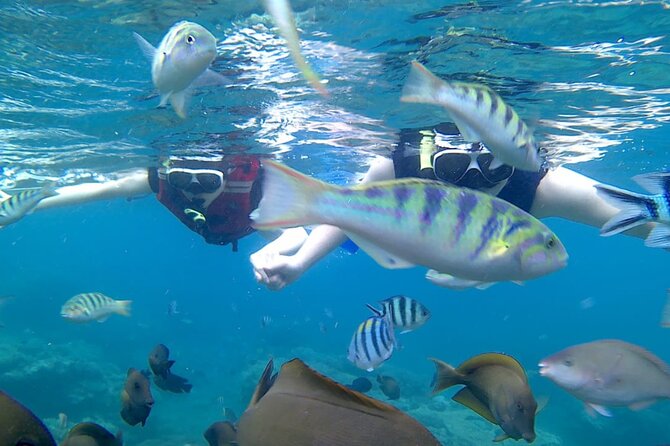 Bali Blue Lagoon Snorkeling With Optional Sightseeing - Price