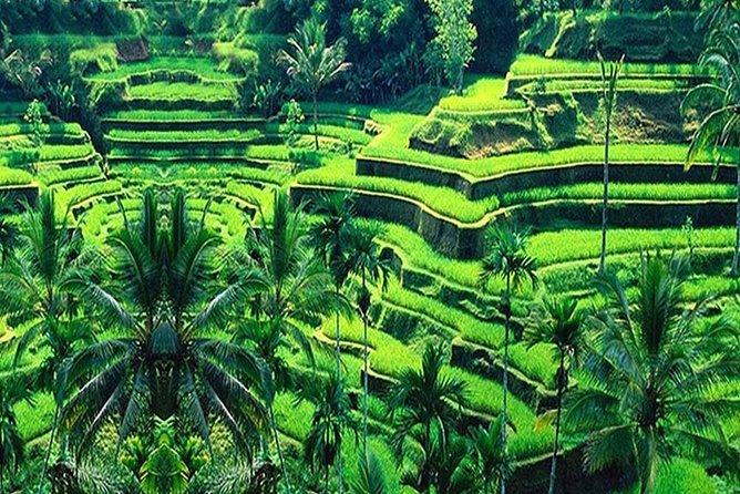 Bali Half-Day Tour to the Amazing Attraction & Sights - Accessibility Information