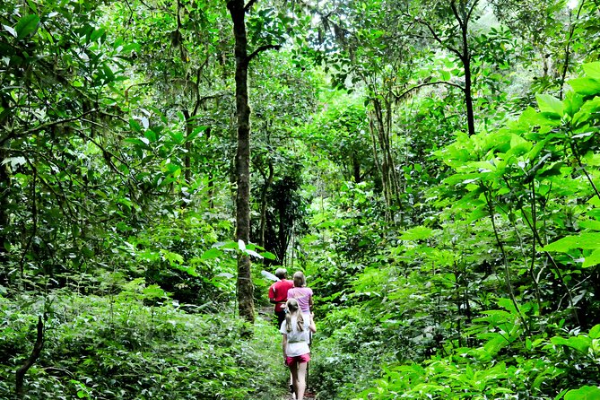 Bali Jungle Trekking, Hidden Hills, Twin Waterfall, Temple Tour - Activity Guidelines