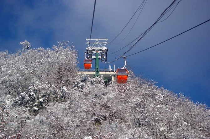 Beijing Private Culture Tour: Chinese Calligraphy Class and Mutianyu Great Wall With Cable Car Ride - Tour Logistics