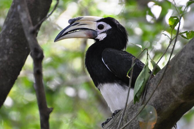 Bhutan Birding and Cultural Trails - Booking Instructions
