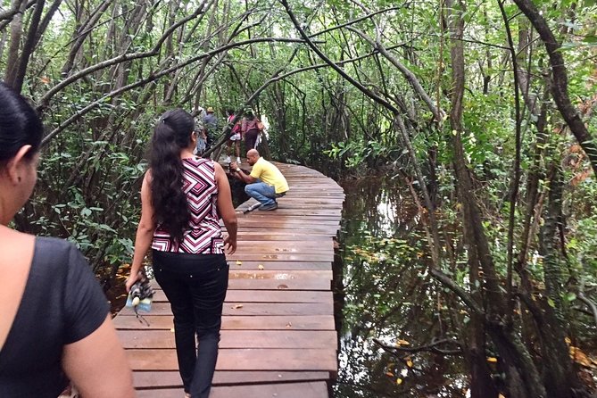 Birdwatching Walk in Diyasaru Uyana in Colombo - Operator and Cancellation Policy