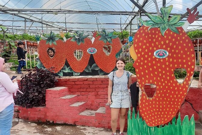 Cameron Highlands Nature & Batu Caves Culture Tour - Tour Guidelines