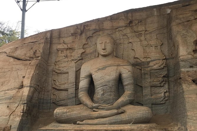 Car & Driver One Week Private Tour in Sri Lanka 6 Nights -7 Days - Meal Inclusions
