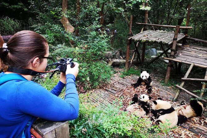 Chengdu Panda & City Tour: Your Ultimate Experience - Important Reminders