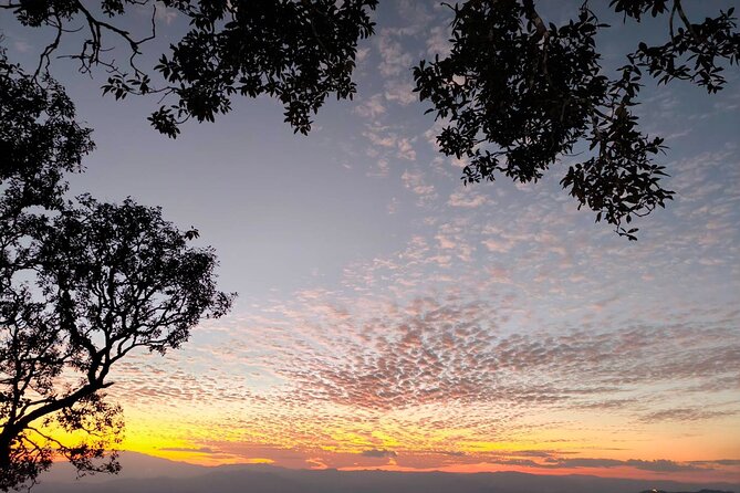 Chiang Mai Sunset Point, Wat Pha Lat, Wat Doi Suthep, Wat Umong - Additional Costs and Options