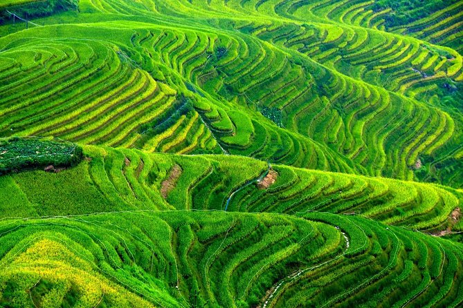 China 12 Days Private Tour : Beijing, Xian, Chengdu, Guilin, Shanghai - Shanghai Modern Marvels