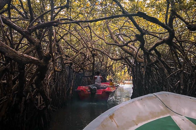 Cosy Sri Lanka (3 Days) - Recommended Activities