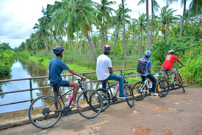 Countryside Cycling Tour in Galle - Participant Requirements