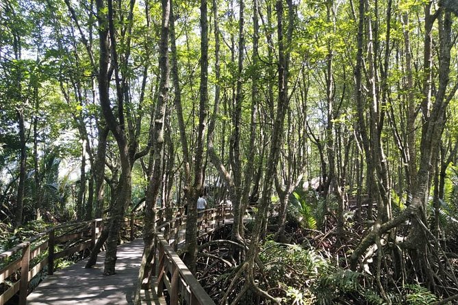 Cowboy Town & Fireflies River Cruise - Cancellation Policy