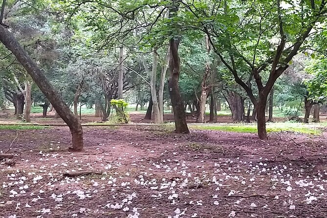Cubbon Park Heritage Walk: a Self-Guided Tour of Bangalores Unique History - Booking and Confirmation Process