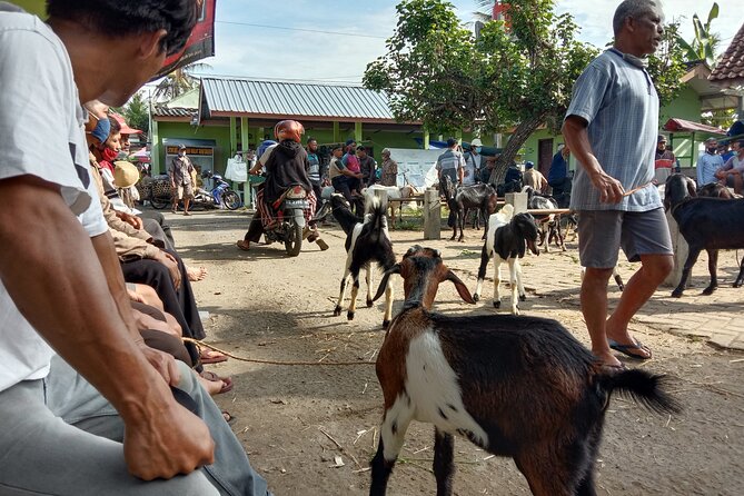 Cycling Village Tour Kulonprogo - Directions and Location