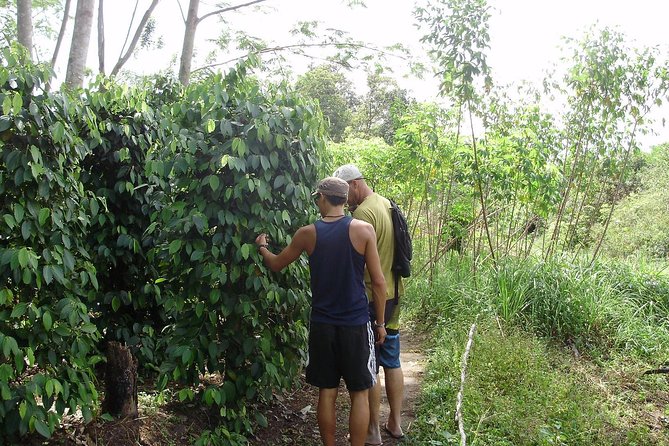 Dalat Coffee Tours - Meeting Point Information