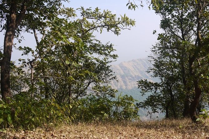 Day Excursion to Matheran From Mumbai - Passport Requirements and Infants
